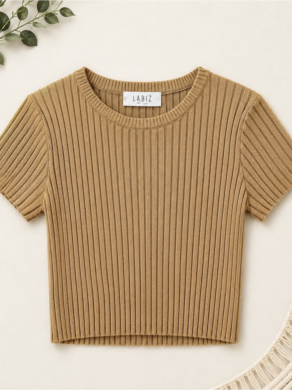 Labiz Ribbed Crop Tee in Camel